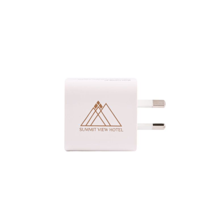 Picture of Paramount Wall Charger