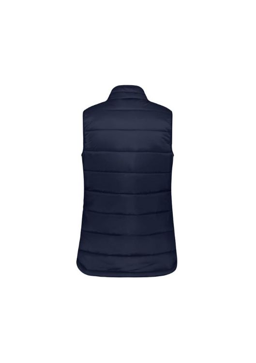 Picture of Womens Alpine Vest