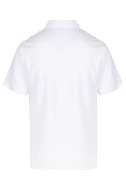 Picture of BOTANY MENS POLOS