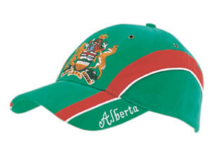 Picture of Brushed Heavy Cotton Cap with Embroidered Peak Insert