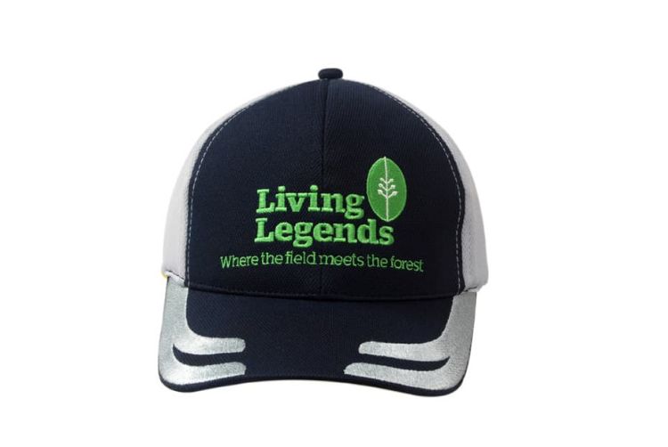 Picture of Brushed Heavy Cotton Cap & Cool Dry Fabric with Embroidered Design on Peak