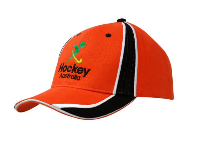 Picture of Brushed Heavy Cotton Cap with Sandwich Trim and Fabric Inserts/Embroidery on Crown & Peak