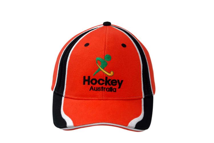 Picture of Brushed Heavy Cotton Cap with Sandwich Trim and Fabric Inserts/Embroidery on Crown & Peak