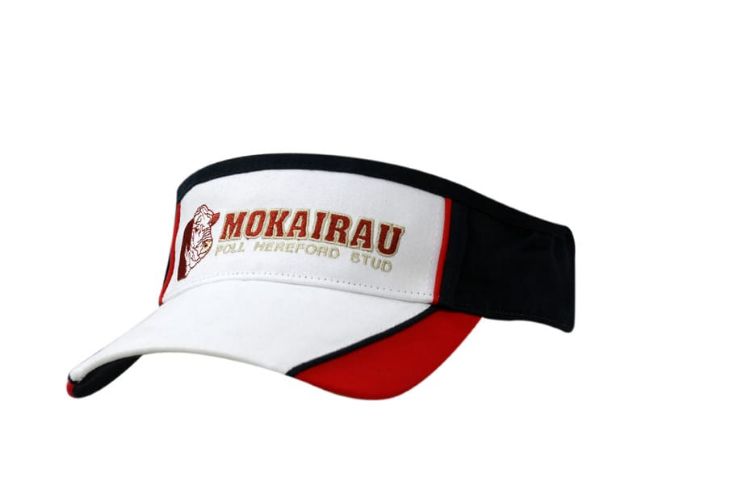 Picture of Brushed Heavy Cotton Tri Colour Visor